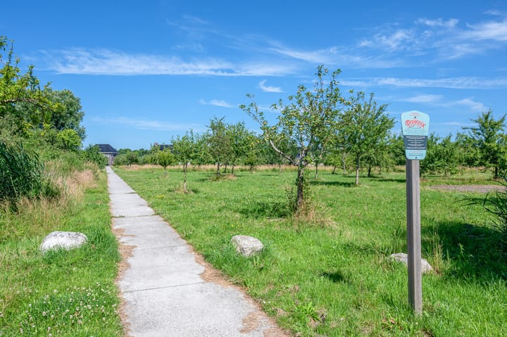 Photo 66 of Cantharel 26