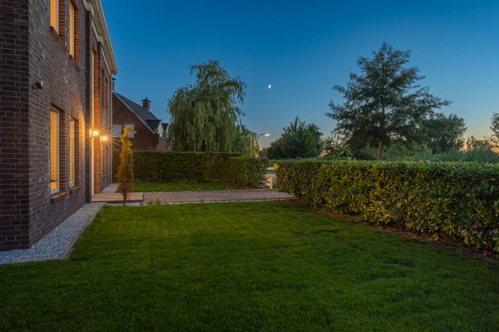 Photo 68 of Cantharel 26