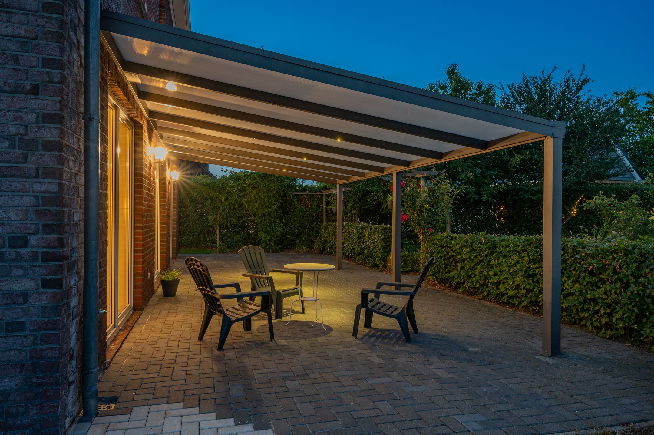 Photo 69 of Cantharel 26