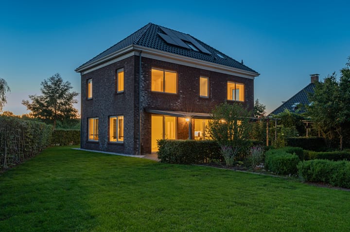 Photo 70 of Cantharel 26