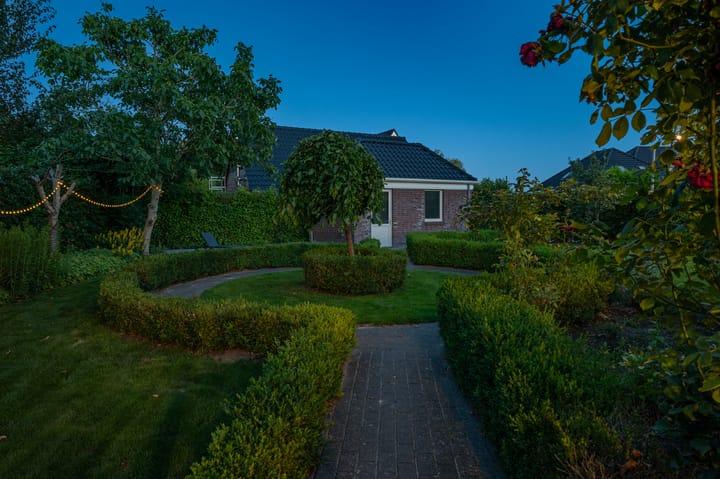 Photo 71 of Cantharel 26