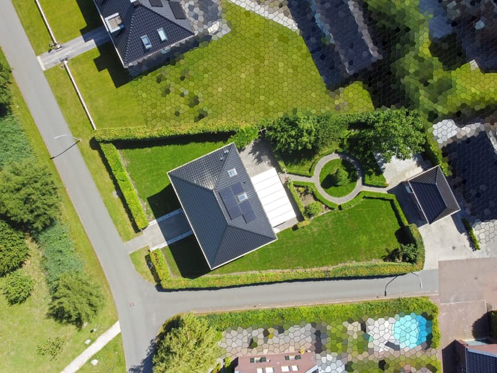 Photo 72 of Cantharel 26