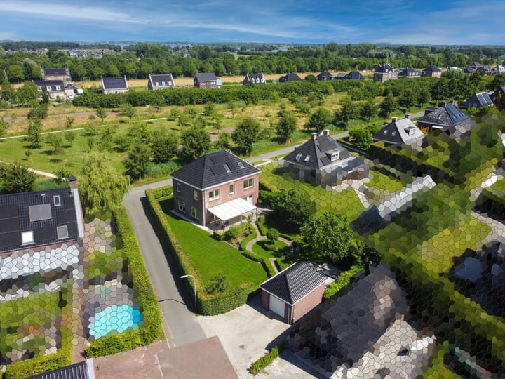 Photo 73 of Cantharel 26