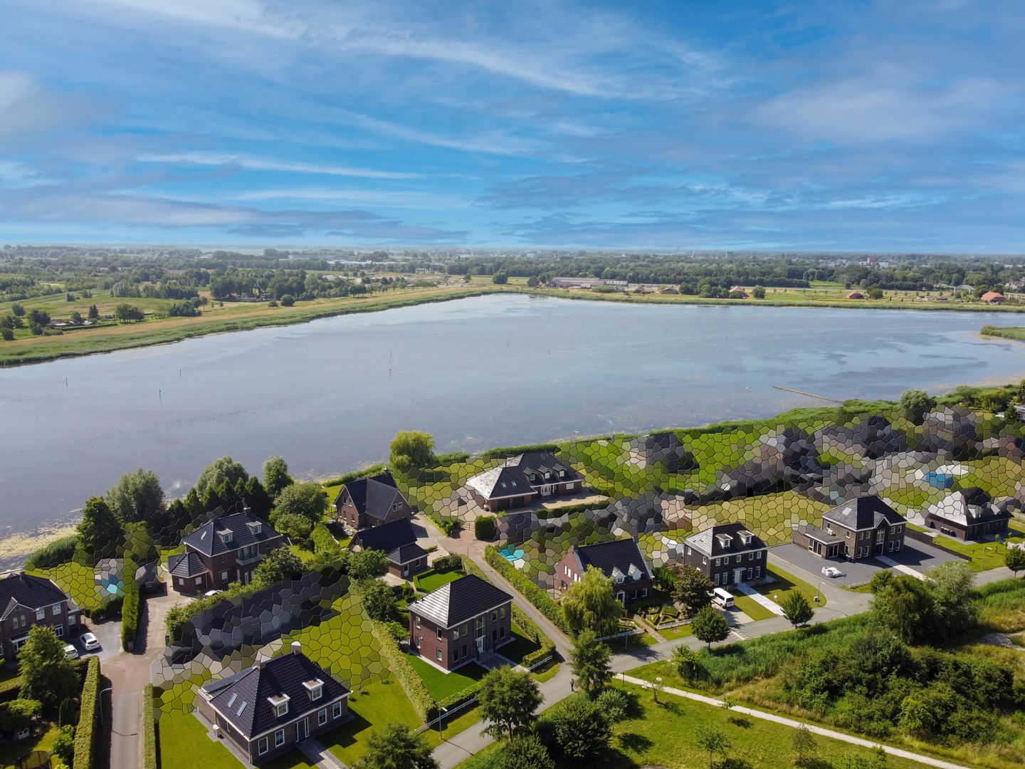 Photo 74 of Cantharel 26