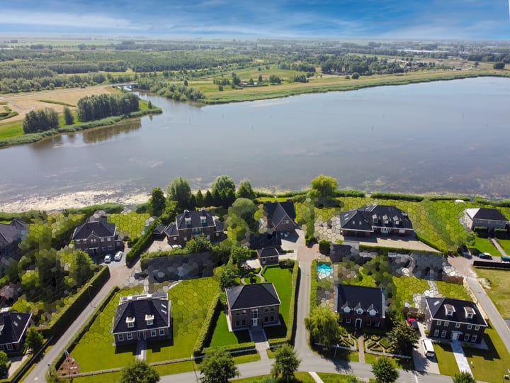 Photo 75 of Cantharel 26