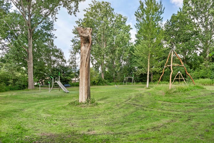 Foto 45 van Larixplantsoen 110