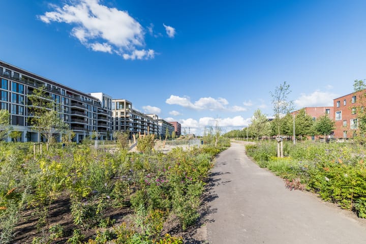 Foto 53 van Karamelweg 35