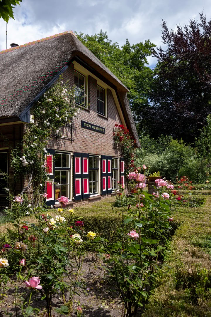 Foto 16 van Koeweg 6