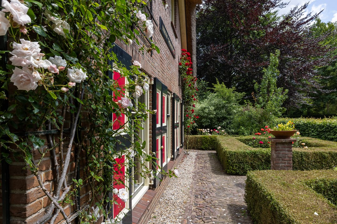 Foto 17 van Koeweg 6