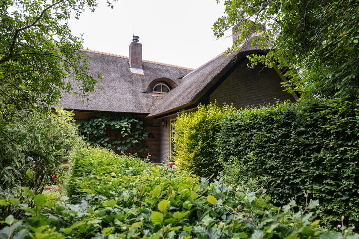 Foto 20 van Koeweg 6