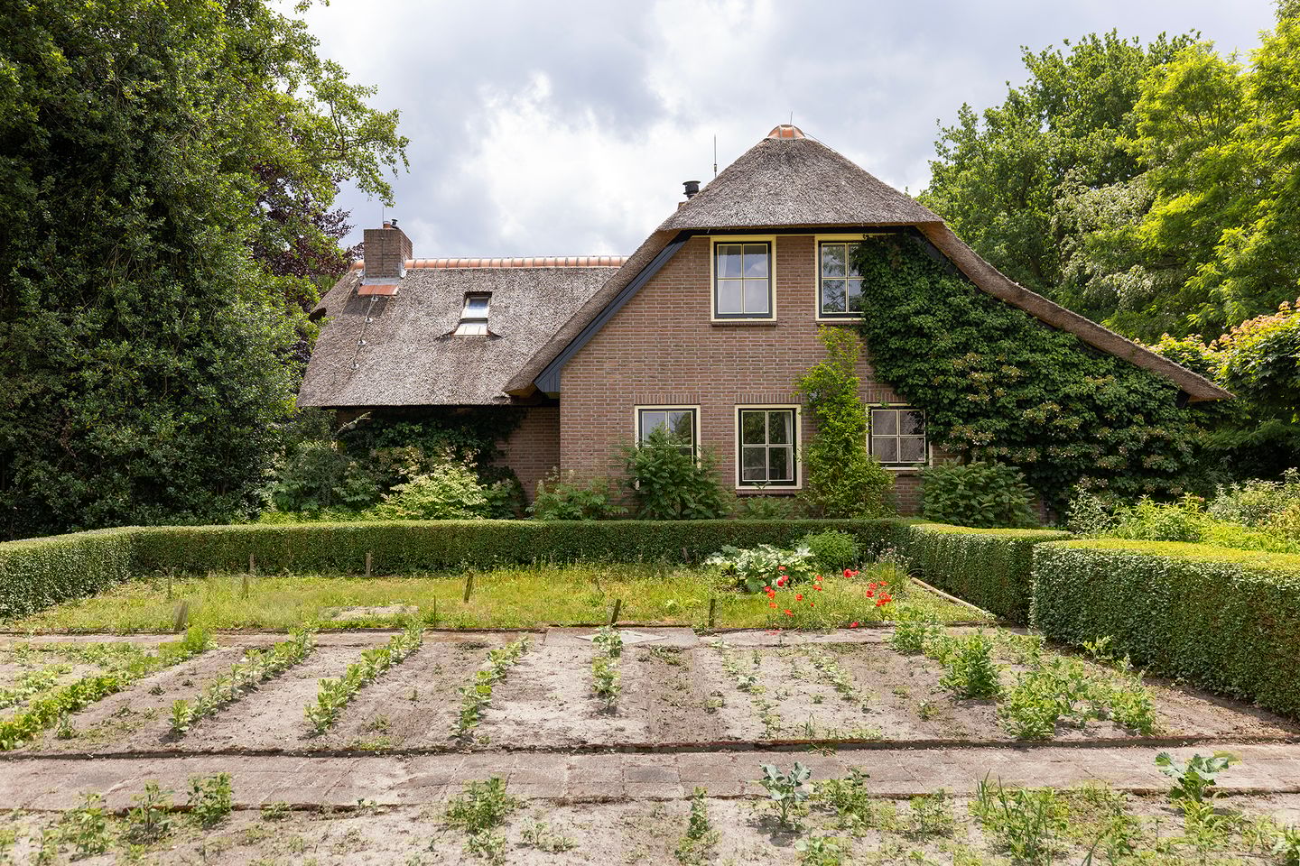 Foto 65 van Koeweg 6