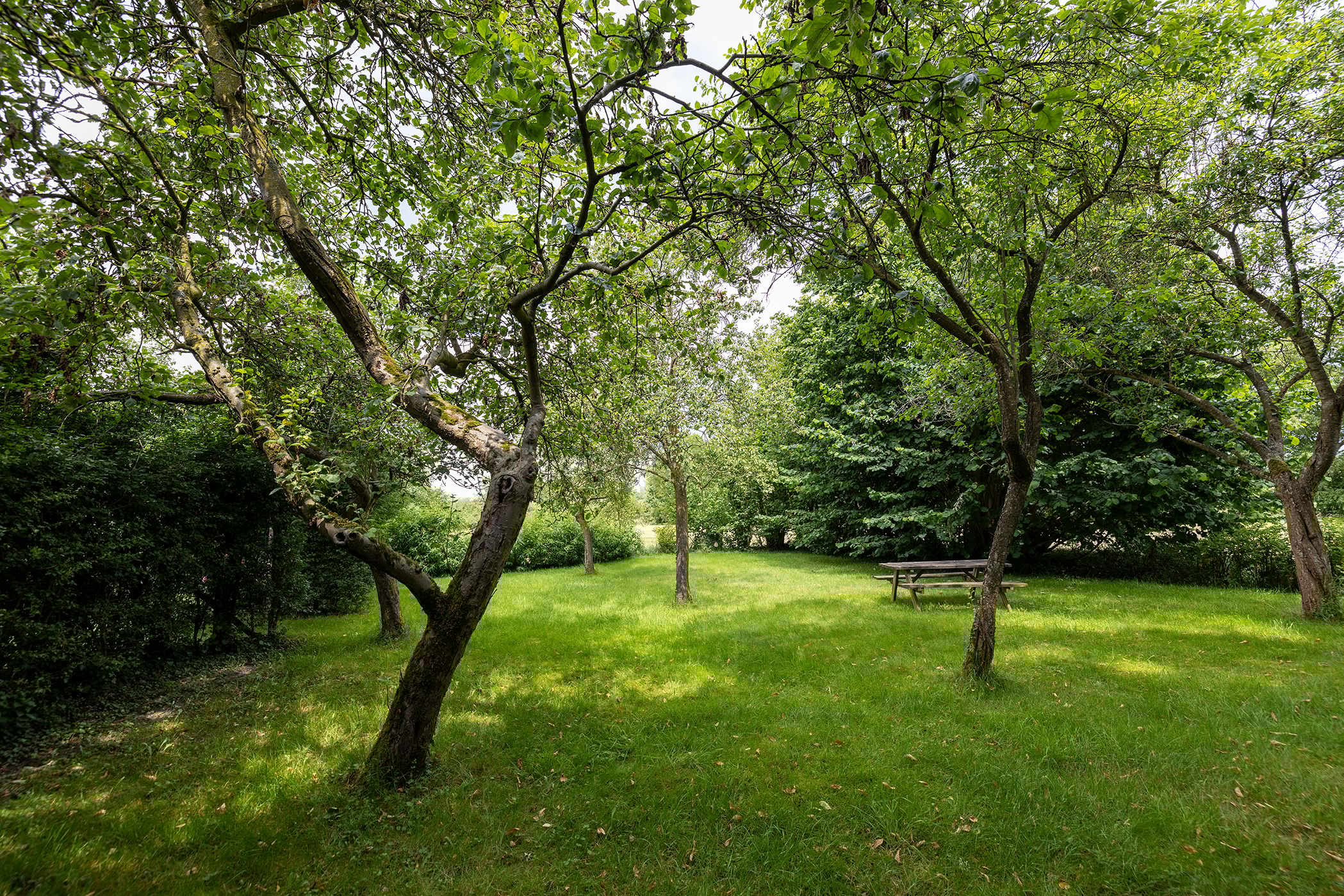 Foto 69 van Koeweg 6