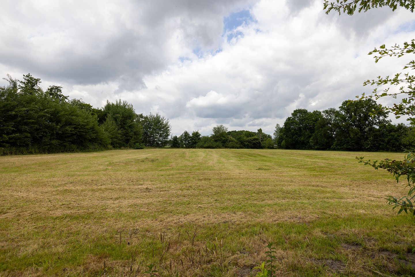 Foto 70 van Koeweg 6