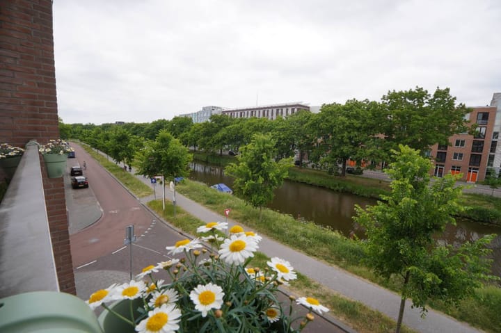 Foto 5 van Nijverheidssingel 281