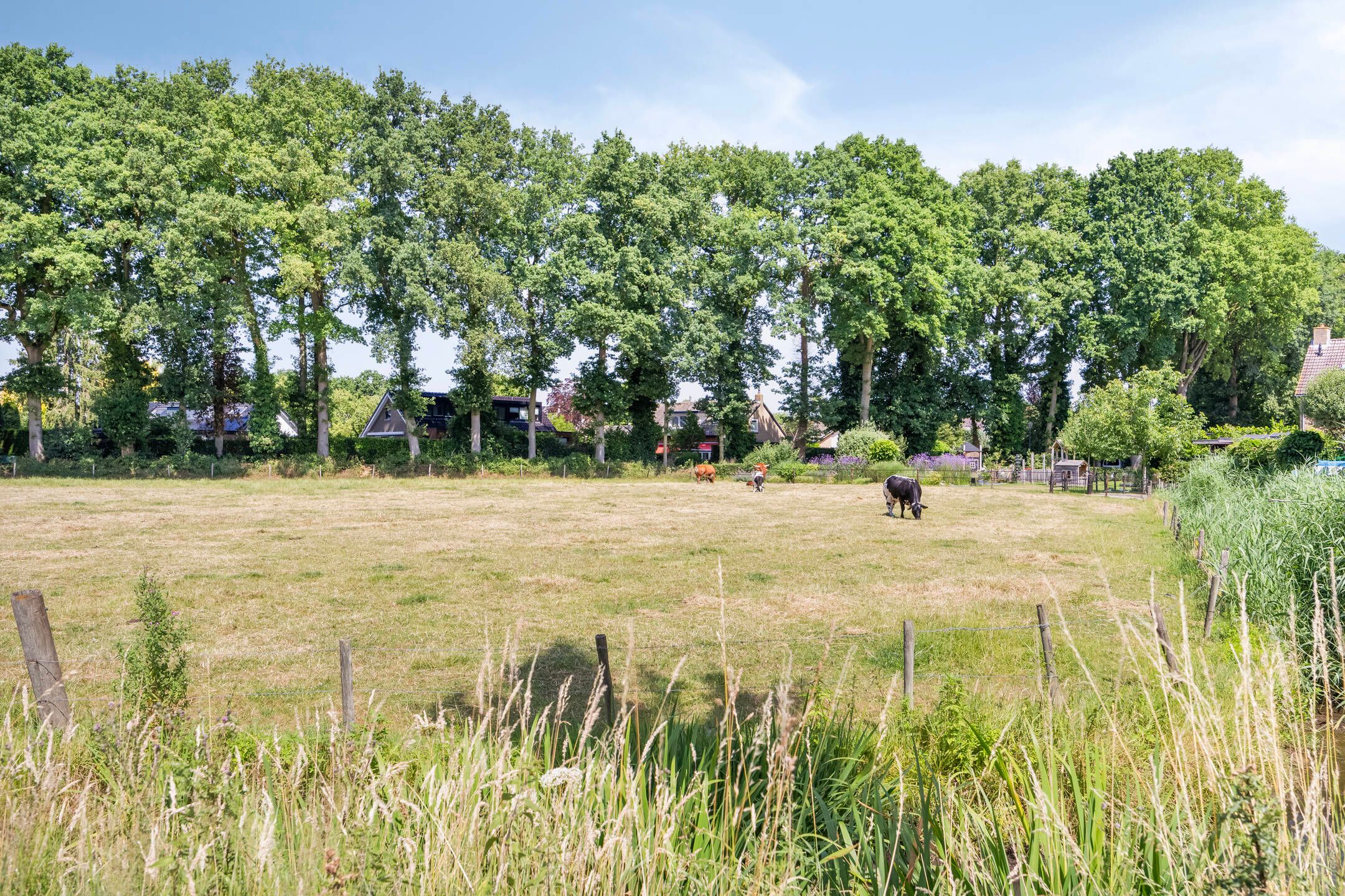 Foto 33 van Hovenierslaan 26