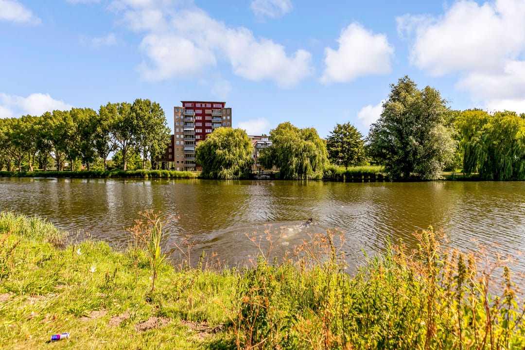 Photo 71 of Meidoornstraat 48