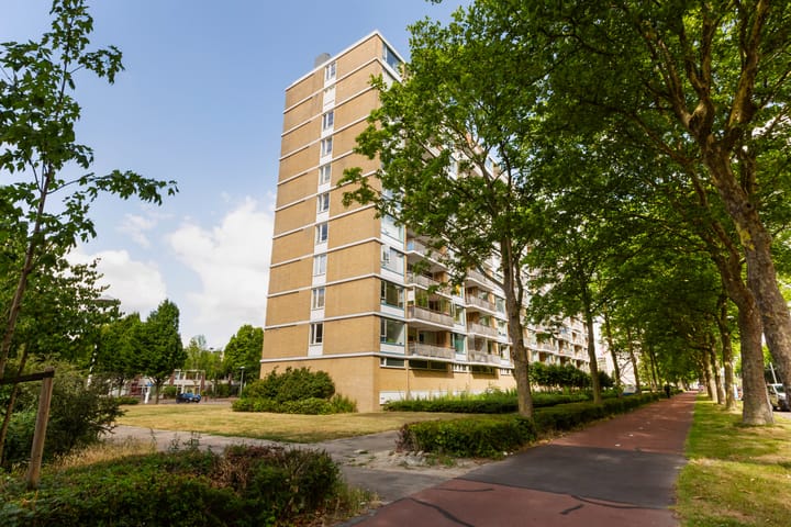 Photo 2 of Livingstonelaan 540