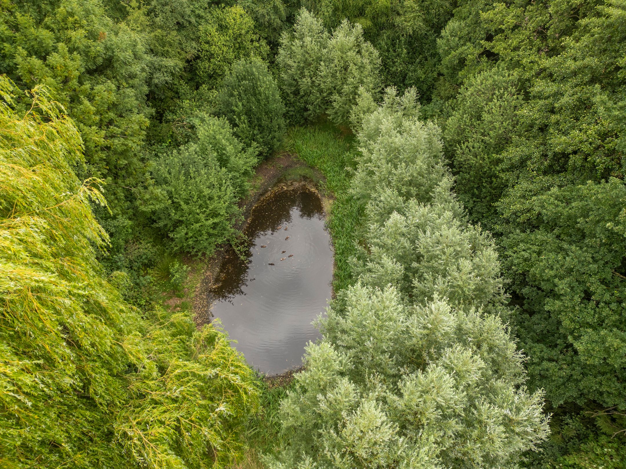 Foto 6 van Oosterkamp 7