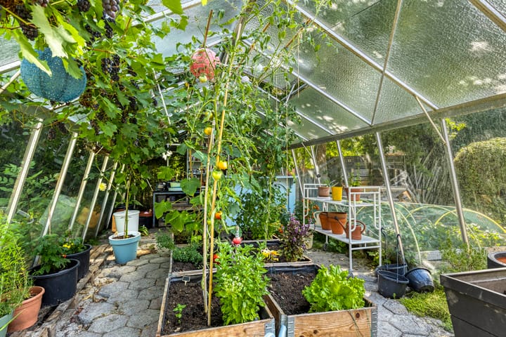 Foto 46 van Spuislop 7