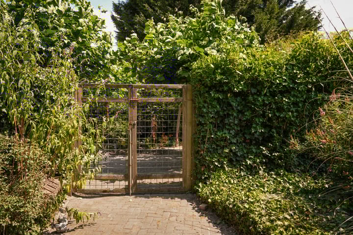 Foto 39 van Hillsestraat 33