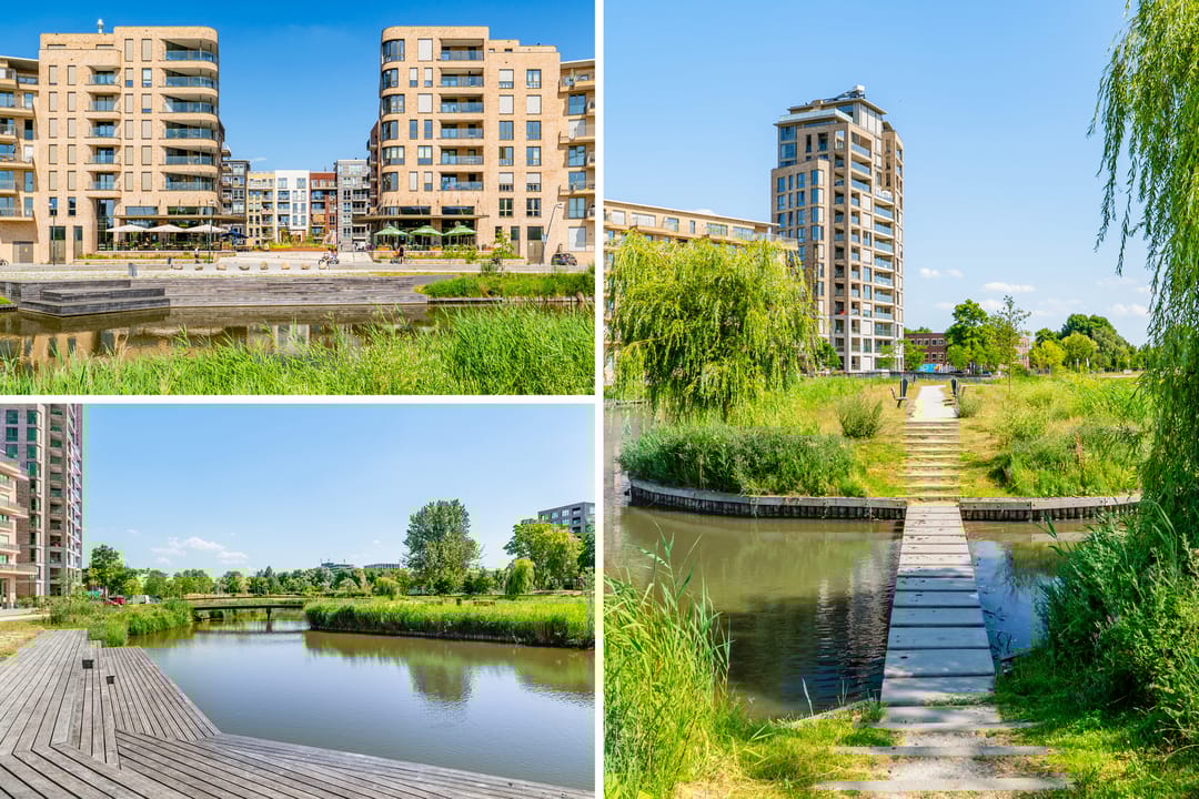 Photo 52 of Carel Willinkgracht 511