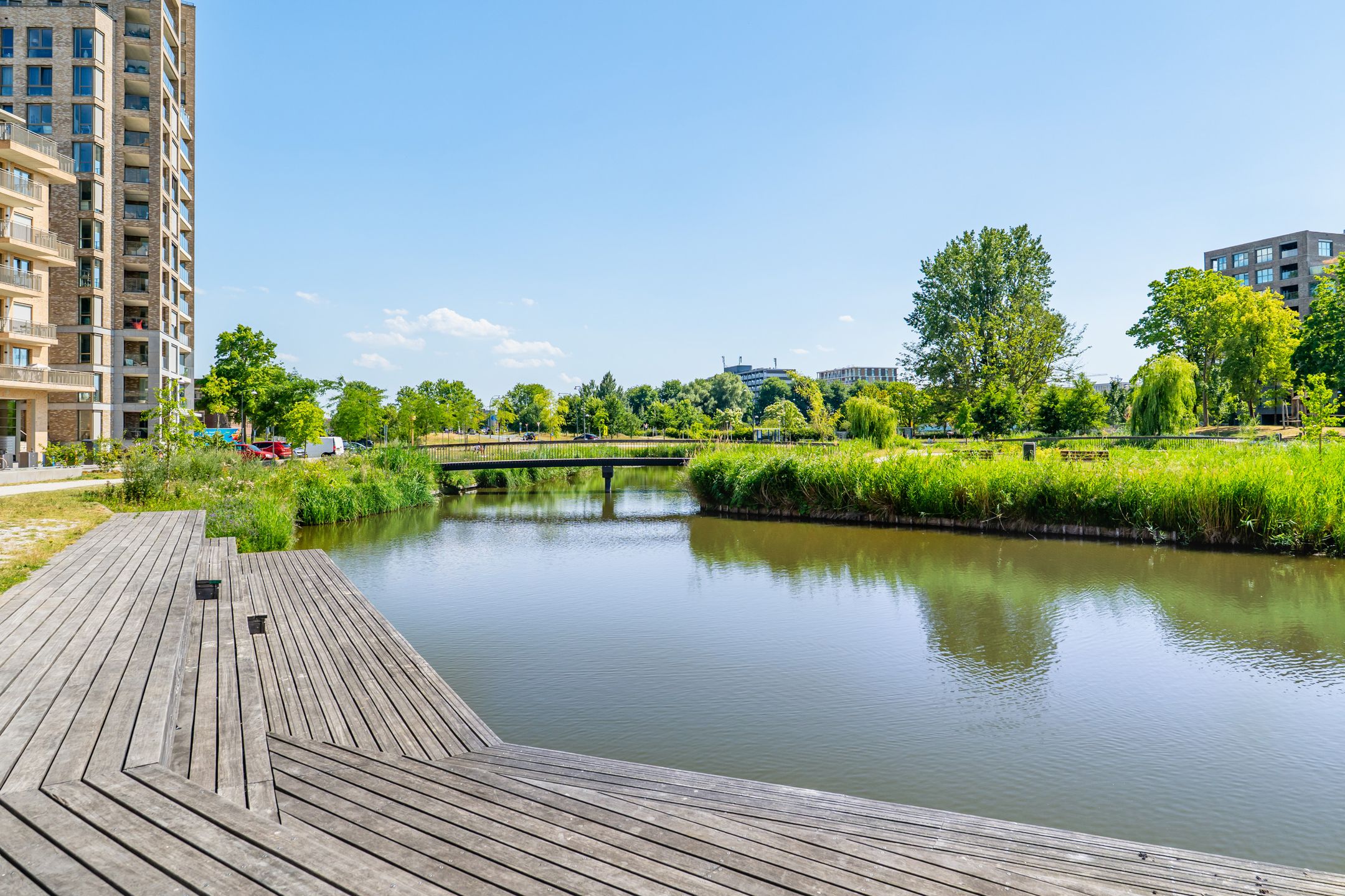 Photo 54 of Carel Willinkgracht 511