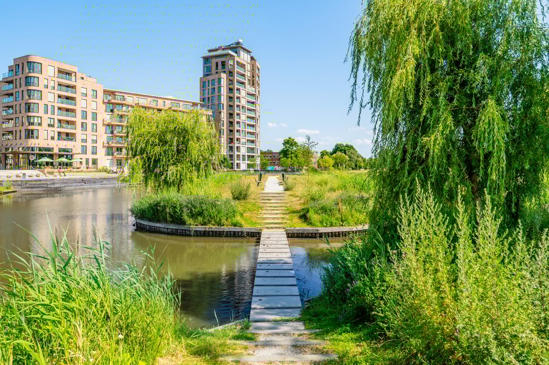 Photo 56 of Carel Willinkgracht 511