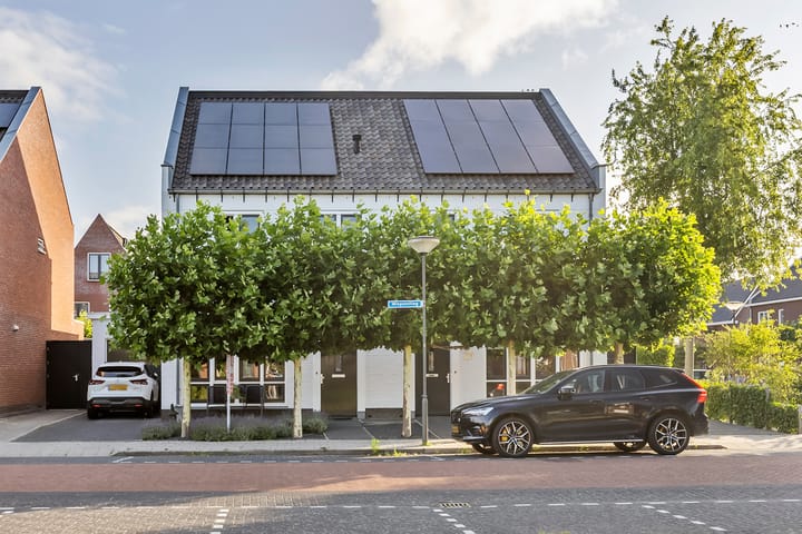 Foto 1 van Wiepstelling 19