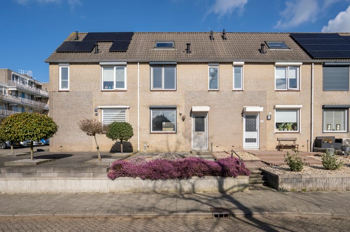 Foto 1 van Bohemen 61