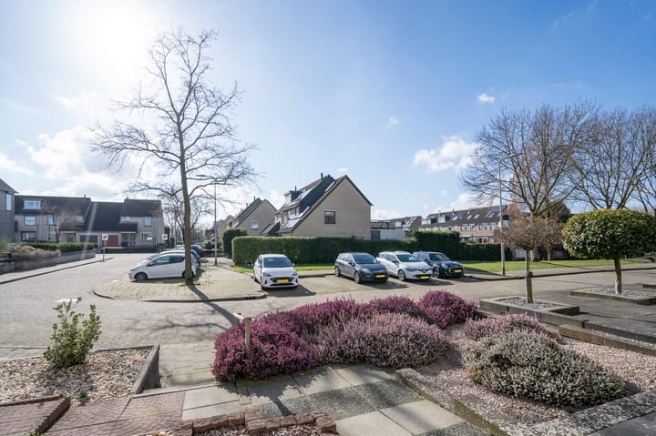 Foto 29 van Bohemen 61