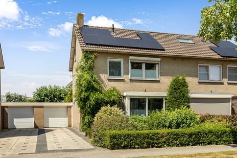 undefined main image