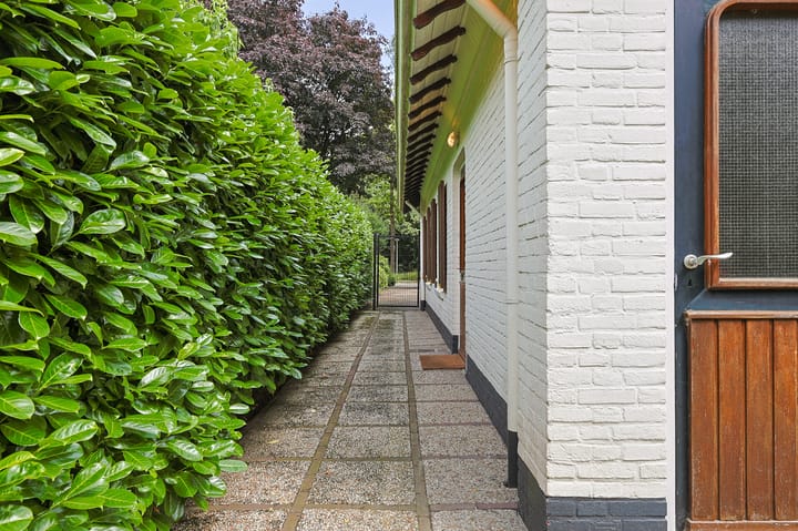 Foto 24 van Amazonenlaan 9