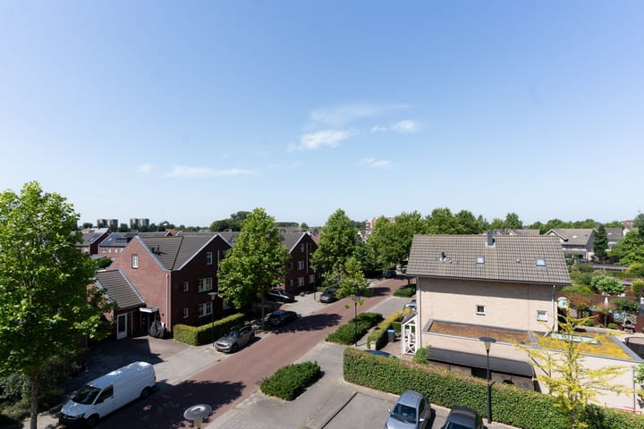 Foto 19 van Cipreshout 62