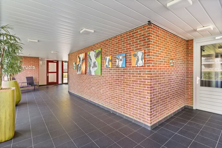 Foto 34 van Cipreshout 62