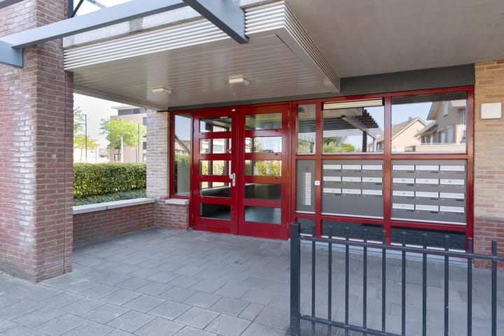 Foto 35 van Cipreshout 62