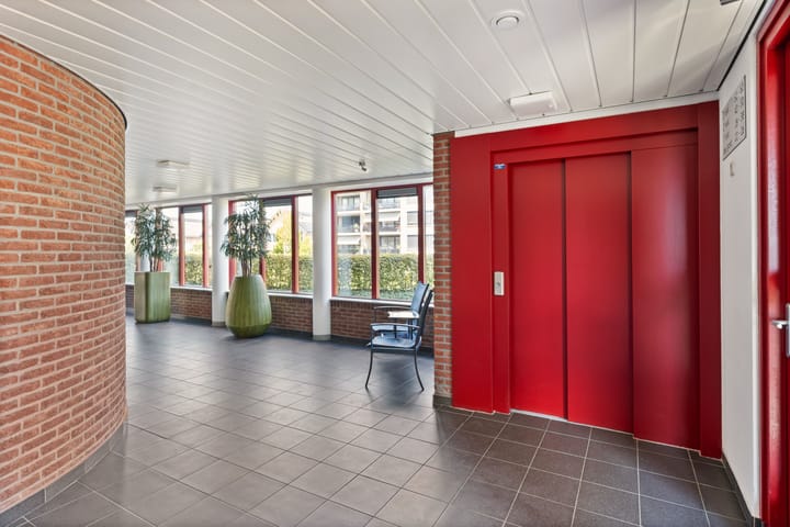 Foto 33 van Cipreshout 62