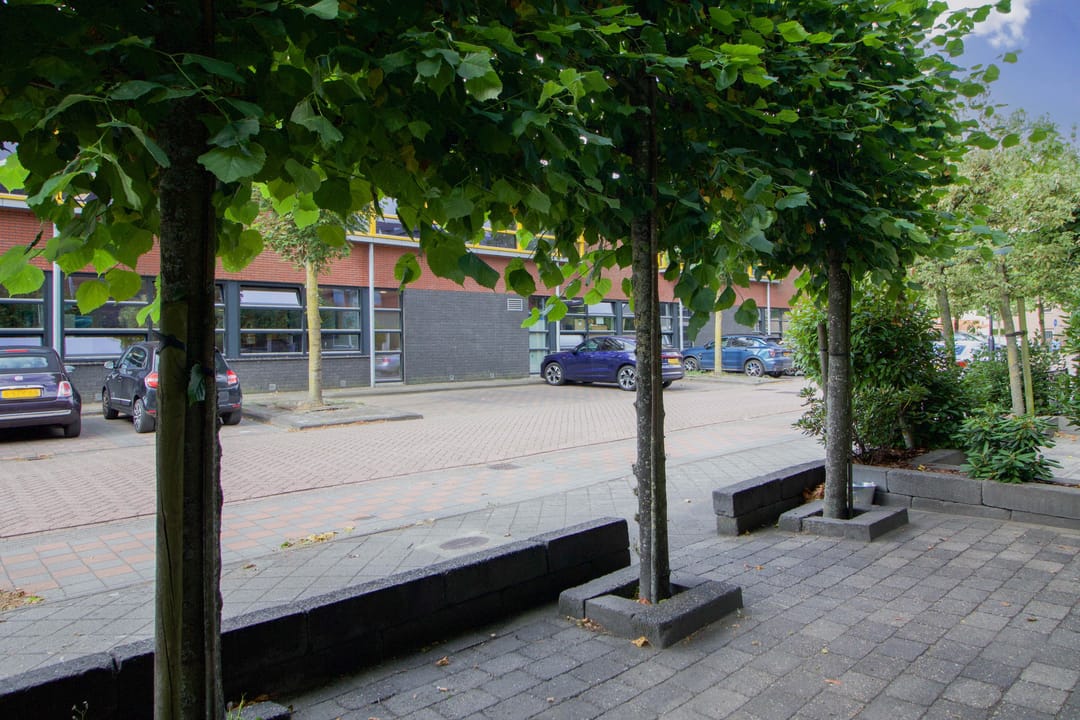 Foto 43 van Bolder 6