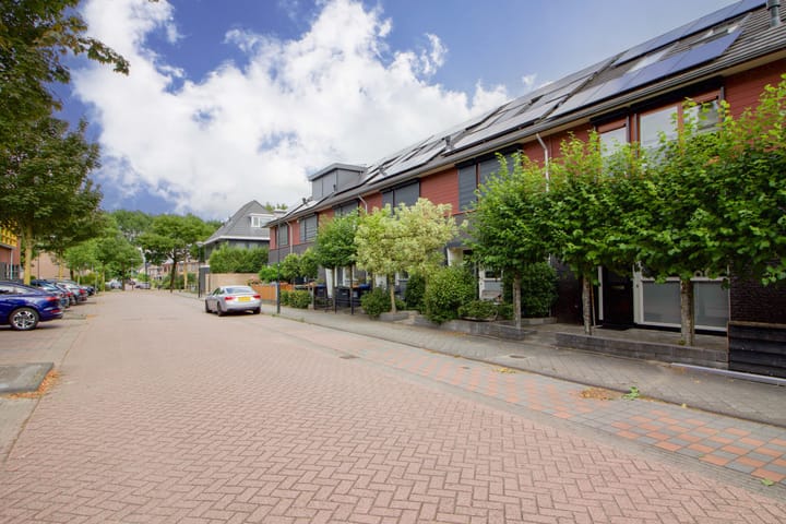 Foto 47 van Bolder 6