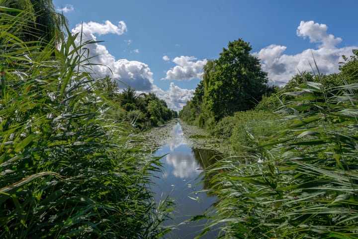 Foto 46 van De Hoopstraat 64