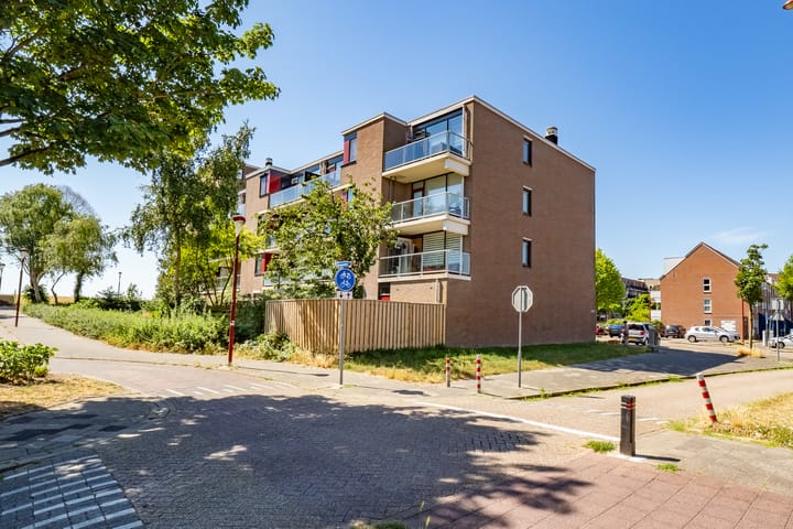 undefined main image