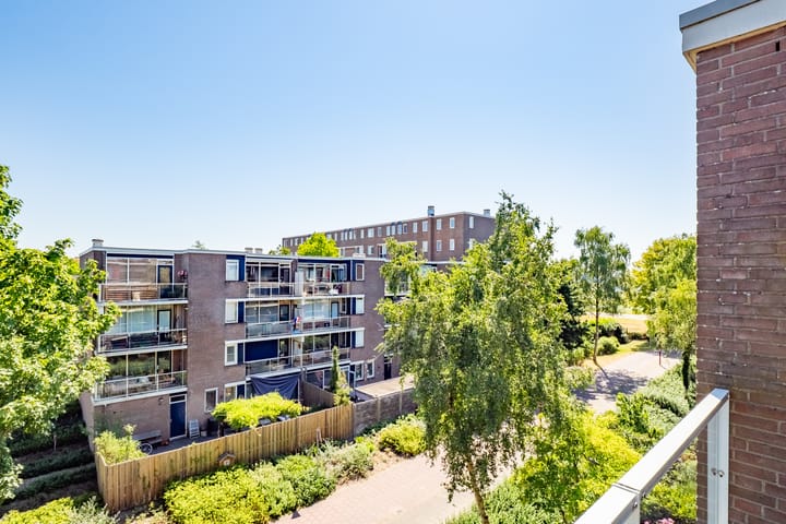 Foto 5 van Vloedmonde 6