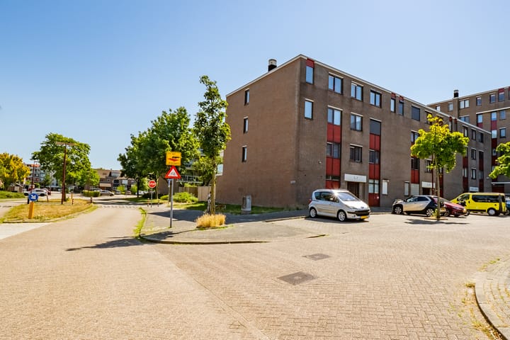 Foto 7 van Vloedmonde 6