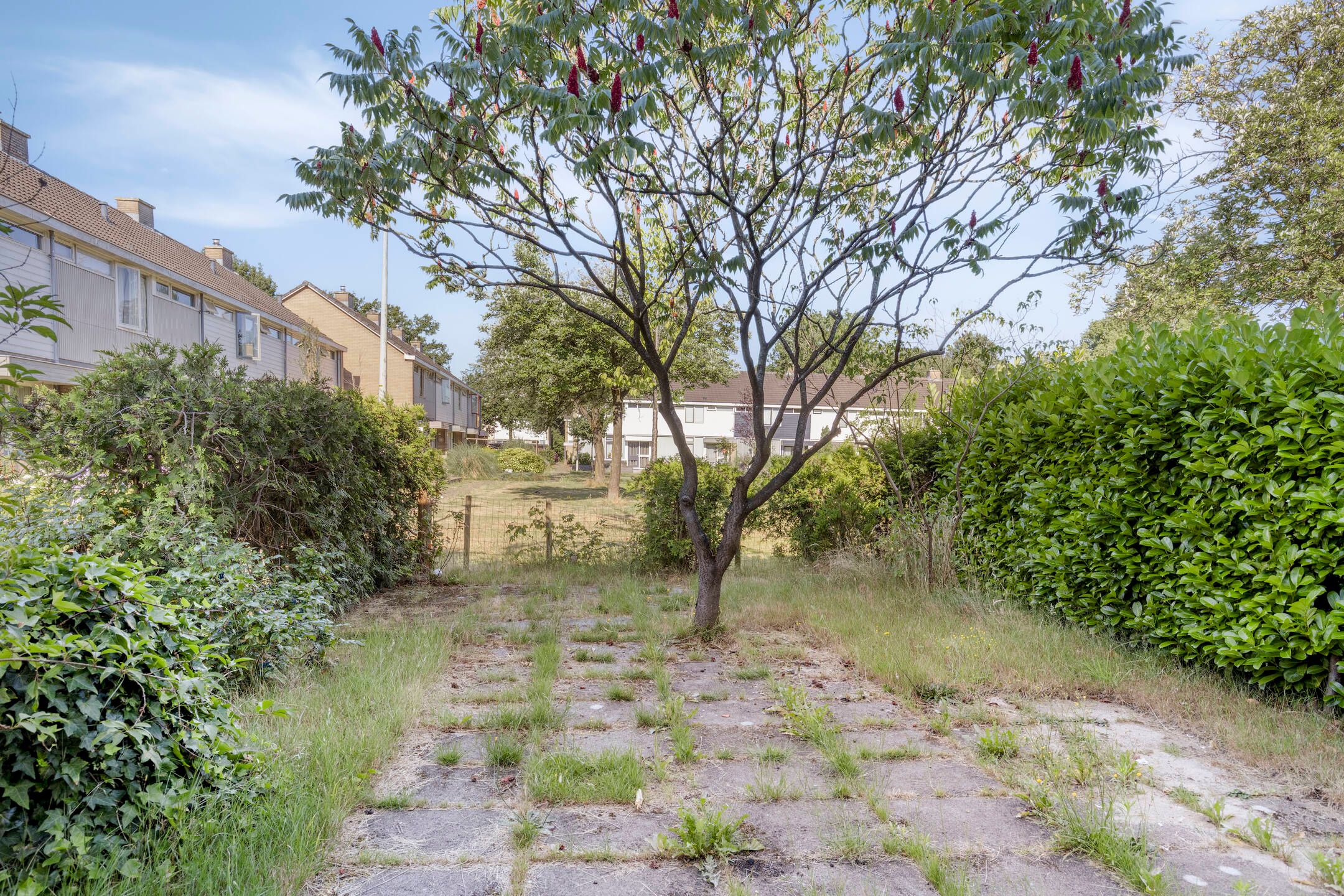 Foto 33 van van Leeuwenhoeklaan 21