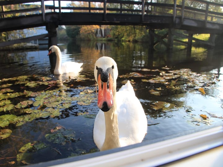 Foto 20 van Westzijderveld 101-ROOD