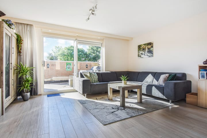 Photo 2 of Lobelia 4