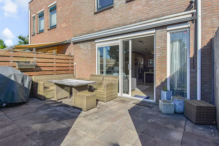 Photo 4 of Lobelia 4