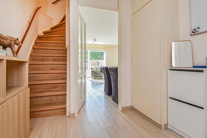 Photo 7 of Lobelia 4