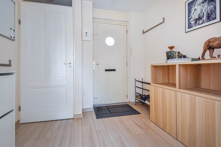 Photo 9 of Lobelia 4