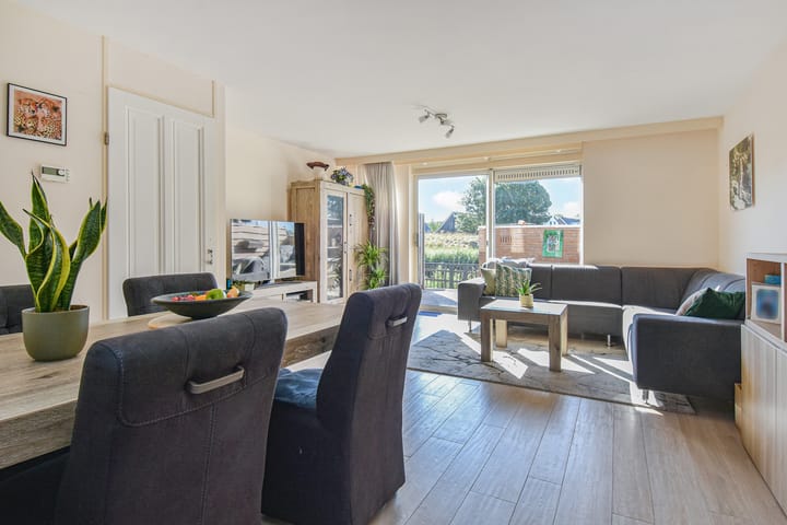 Photo 11 of Lobelia 4