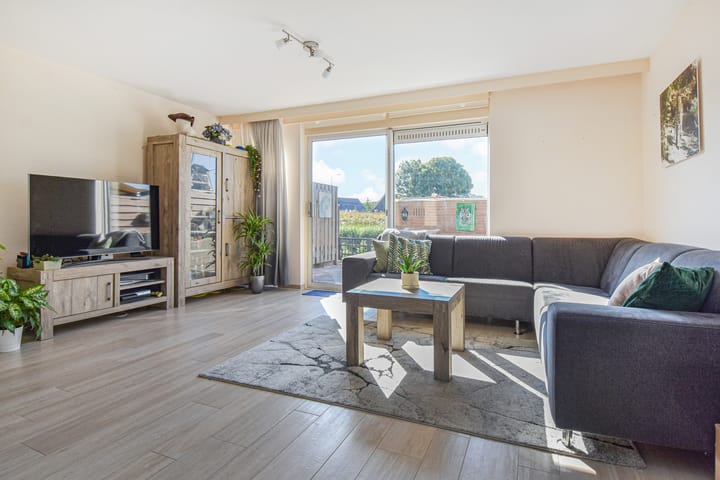 Photo 12 of Lobelia 4